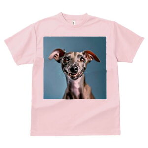 C^AO[nEh TVc fB[X t@  t  vg JWA 킢 lԗp h ̃fUC ʔ Ί C^AO[nEh 킢 