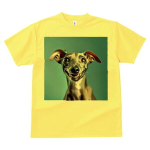 C^AO[nEh TVc fB[X t@  t  vg JWA 킢 lԗp h ̃fUC ʔ Ί C^AO[nEh 킢 