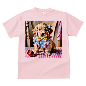 S[fgo[ TVc fB[X t@  t  vg JWA 킢 lԗp h ̃fUC ʔ C`S S[fgo[ ֎q `FbN