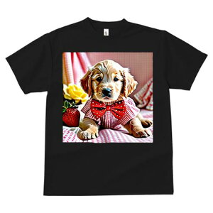 S[fgo[ TVc fB[X t@  t  vg JWA 킢 lԗp h ̃fUC ʔ  S[fgo[ o lN^C `