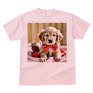 S[fgo[ TVc Y LbY t@  t  vg JWA 킢 lԗp h ̃fUC ʔ C`S S[fgo[ ԂlN^C 