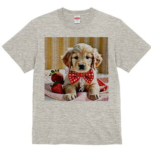 S[fgo[ TVc fB[X t@  t  vg JWA 킢 lԗp h ̃fUC ʔ C`S S[fgo[ ԂlN^C `