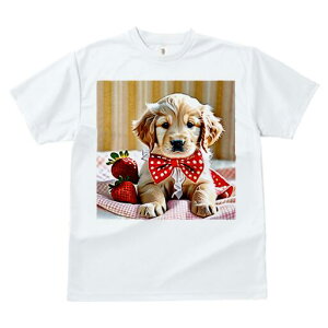 S[fgo[ TVc fB[X t@  t  vg JWA 킢 lԗp h ̃fUC ʔ C`S S[fgo[ ԂlN^C `