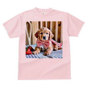 S[fgo[ TVc fB[X t@  t  vg JWA 킢 lԗp h ̃fUC ʔ C`S S[fgo[ lN^C Xg