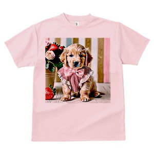 S[fgo[ TVc fB[X t@  t  vg JWA 킢 lԗp h ̃fUC ʔ  S[fgo[  {