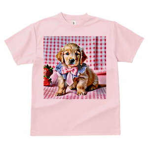 S[fgo[ TVc fB[X t@  t  vg JWA 킢 lԗp h ̃fUC ʔ  S[fgo[ `FbN {