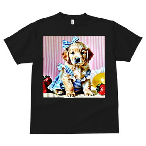 S[fgo[ TVc fB[X t@  t  vg JWA 킢 lԗp h ̃fUC ʔ { S[fgo[ 