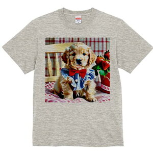 S[fgo[ TVc fB[X t@  t  vg JWA 킢 lԗp h ̃fUC ʔ C`S S[fgo[ ֎q `FbN