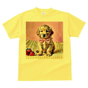 S[fgo[ TVc fB[X t@  t  vg JWA 킢 lԗp h ̃fUC ʔ C`S S[fgo[ lN^C