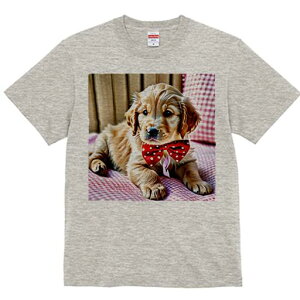 S[fgo[ TVc fB[X t@  t  vg JWA 킢 lԗp h ̃fUC ʔ lN^C S[fgo[  