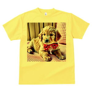 S[fgo[ TVc fB[X t@  t  vg JWA 킢 lԗp h ̃fUC ʔ lN^C S[fgo[  