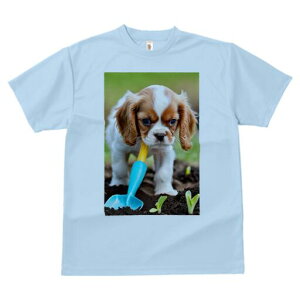 LoA TVc Y LbY t@  t  vg JWA 킢 lԗp h ̃fUC ʔ Vx LoA  c