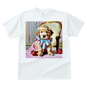 S[fgo[ TVc fB[X t@  t  vg JWA 킢 lԗp h ̃fUC ʔ C`S S[fgo[ ֎q `FbN 