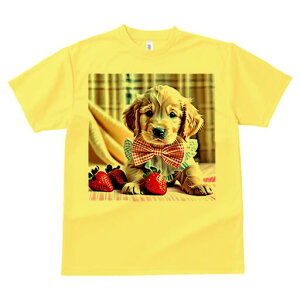 S[fgo[ TVc fB[X t@  t  vg JWA 킢 lԗp h ̃fUC ʔ C`S S[fgo[ lN^C