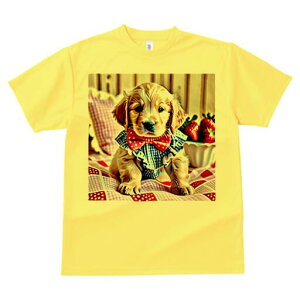 S[fgo[ TVc fB[X t@  t  vg JWA 킢 lԗp h ̃fUC ʔ C`S S[fgo[ lN^C `Fb