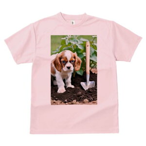 キャバリア Tシャツ レディース 犬ファン 半袖 春夏 犬柄 プリント カジュアル かわいい 人間用 個性派 ここだけのデザイン 面白 シャベル キャバリア 庭 土