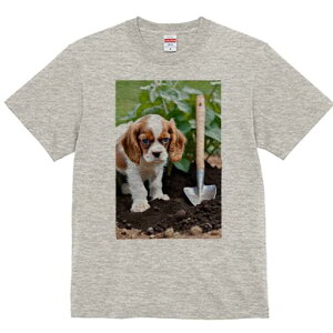 LoA TVc fB[X t@  t  vg JWA 킢 lԗp h ̃fUC ʔ Vx LoA  y