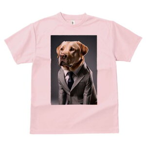 uh[go[ TVc fB[X t@  t  vg JWA 킢 lԗp h ̃fUC ʔ X[c uh[go[ lN^C C