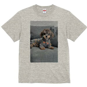 gCv[h TVc fB[X t@  t  vg JWA 킢 lԗp h ̃fUC ʔ NbV gCv[h 