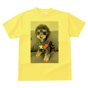 gCv[h TVc fB[X t@  t  vg JWA 킢 lԗp h ̃fUC ʔ Z[^[ gCv[h 