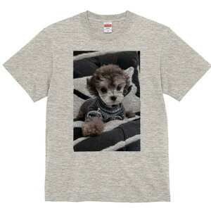 gCv[h TVc fB[X t@  t  vg JWA 킢 lԗp h ̃fUC ʔ  gCv[h NbV