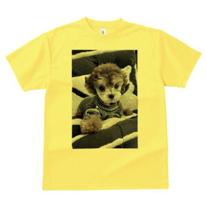 gCv[h TVc fB[X t@  t  vg JWA 킢 lԗp h ̃fUC ʔ  gCv[h NbV