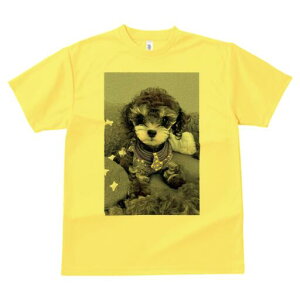 gCv[h TVc fB[X t@  t  vg JWA 킢 lԗp h ̃fUC ʔ  gCv[h NbV 