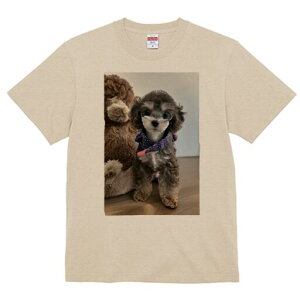 トイプードル Tシャツ レディース 犬ファン 半袖 春夏 犬柄 プリント カジュアル かわいい 人間用 個性派 ここだけのデザイン 面白 ぬいぐるみ トイプードル スカーフ