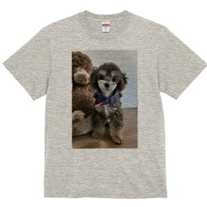 トイプードル Tシャツ メンズ キッズ 犬ファン 半袖 春夏 犬柄 プリント カジュアル かわいい 人間用 個性派 ここだけのデザイン 面白 ぬいぐるみ トイプードル スカーフ