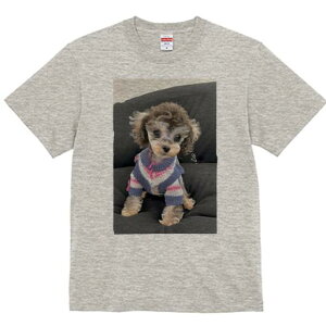 }`[Y,gCv[h TVc fB[X t@  t  vg JWA 킢 lԗp h ̃fUC ʔ Z[^[ }`[Y,gCv[h