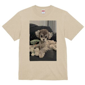 gCv[h TVc fB[X t@  t  vg JWA 킢 lԗp h ̃fUC ʔ ʂ gCv[h