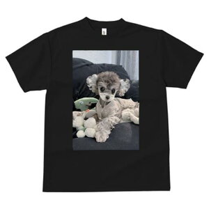 gCv[h TVc Y LbY t@  t  vg JWA 킢 lԗp h ̃fUC ʔ ʂ gCv[h