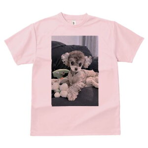 gCv[h TVc fB[X t@  t  vg JWA 킢 lԗp h ̃fUC ʔ ʂ gCv[h