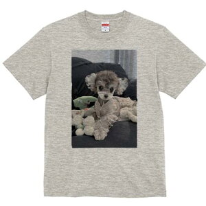 gCv[h TVc fB[X t@  t  vg JWA 킢 lԗp h ̃fUC ʔ ʂ gCv[h