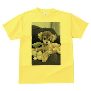 gCv[h TVc fB[X t@  t  vg JWA 킢 lԗp h ̃fUC ʔ ʂ gCv[h