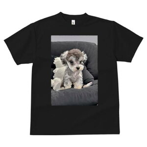 ~j`AViEU[ TVc fB[X t@  t  vg JWA 킢 lԗp h ̃fUC ʔ ʂ ~j`AViEU[