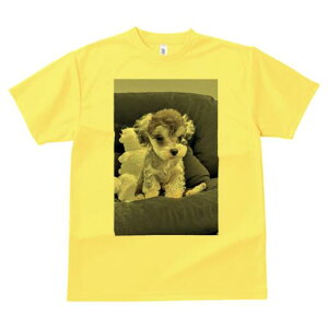 ~j`AViEU[ TVc fB[X t@  t  vg JWA 킢 lԗp h ̃fUC ʔ ʂ ~j`AViEU[