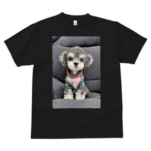 }`[Y,gCv[h TVc fB[X t@  t  vg JWA 킢 lԗp h ̃fUC ʔ  }`[Y,gCv[h ԕ