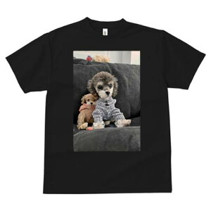 gCv[h TVc fB[X t@  t  vg JWA 킢 lԗp h ̃fUC ʔ ʂ gCv[h pW}