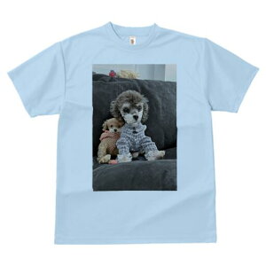 gCv[h TVc fB[X t@  t  vg JWA 킢 lԗp h ̃fUC ʔ ʂ gCv[h pW}