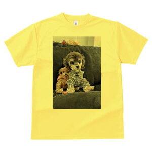 gCv[h TVc fB[X t@  t  vg JWA 킢 lԗp h ̃fUC ʔ ʂ gCv[h pW}