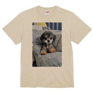 gCv[h TVc fB[X t@  t  vg JWA 킢 lԗp h ̃fUC ʔ NbV gCv[h \t@ 