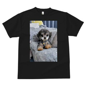 gCv[h TVc fB[X t@  t  vg JWA 킢 lԗp h ̃fUC ʔ NbV gCv[h \t@ 