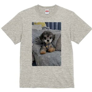 gCv[h TVc fB[X t@  t  vg JWA 킢 lԗp h ̃fUC ʔ NbV gCv[h \t@ 