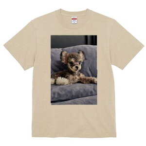 [NV[eA,}`[Y TVc fB[X t@  t  vg JWA 킢 lԗp h ̃fUC ʔ NbV [NV[eA,}`