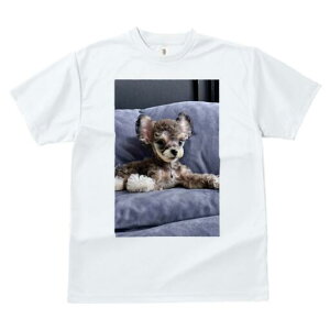 [NV[eA,}`[Y TVc fB[X t@  t  vg JWA 킢 lԗp h ̃fUC ʔ NbV [NV[eA,}`