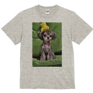 gCv[h TVc Y LbY t@  t  vg JWA 킢 lԗp h ̃fUC ʔ ʂ gCv[h NbV