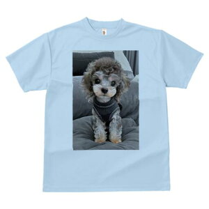 gCv[h TVc fB[X t@  t  vg JWA 킢 lԗp h ̃fUC ʔ NbV gCv[h 