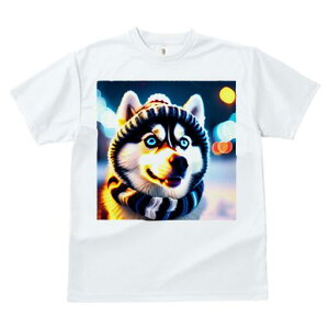 VxAnXL[ TVc fB[X t@  t  vg JWA 킢 lԗp h ̃fUC ʔ Xq VxAnXL[ XJ[t ~ 