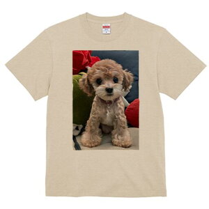 gCv[h TVc Y LbY t@  t  vg JWA 킢 lԗp h ̃fUC ʔ ʂ gCv[h NbV